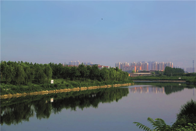 公司實施BT項目石家莊市環(huán)城水系（東南部分）河道及園林綠化工程項目5標(biāo)